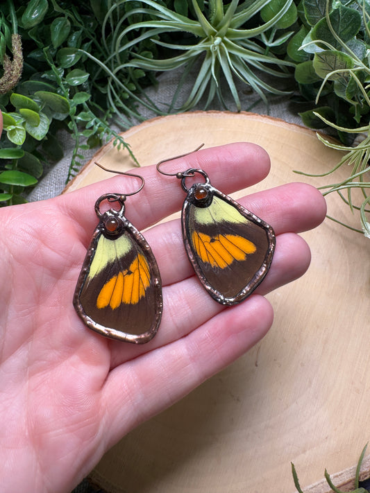 Orange Agate and Butterfly Wing Earrings