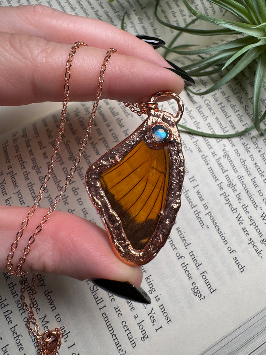 Moonstone and Butterfly Wing Necklace