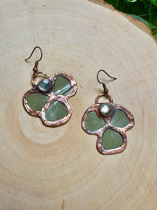 Clove- Shell and Clover Earrings