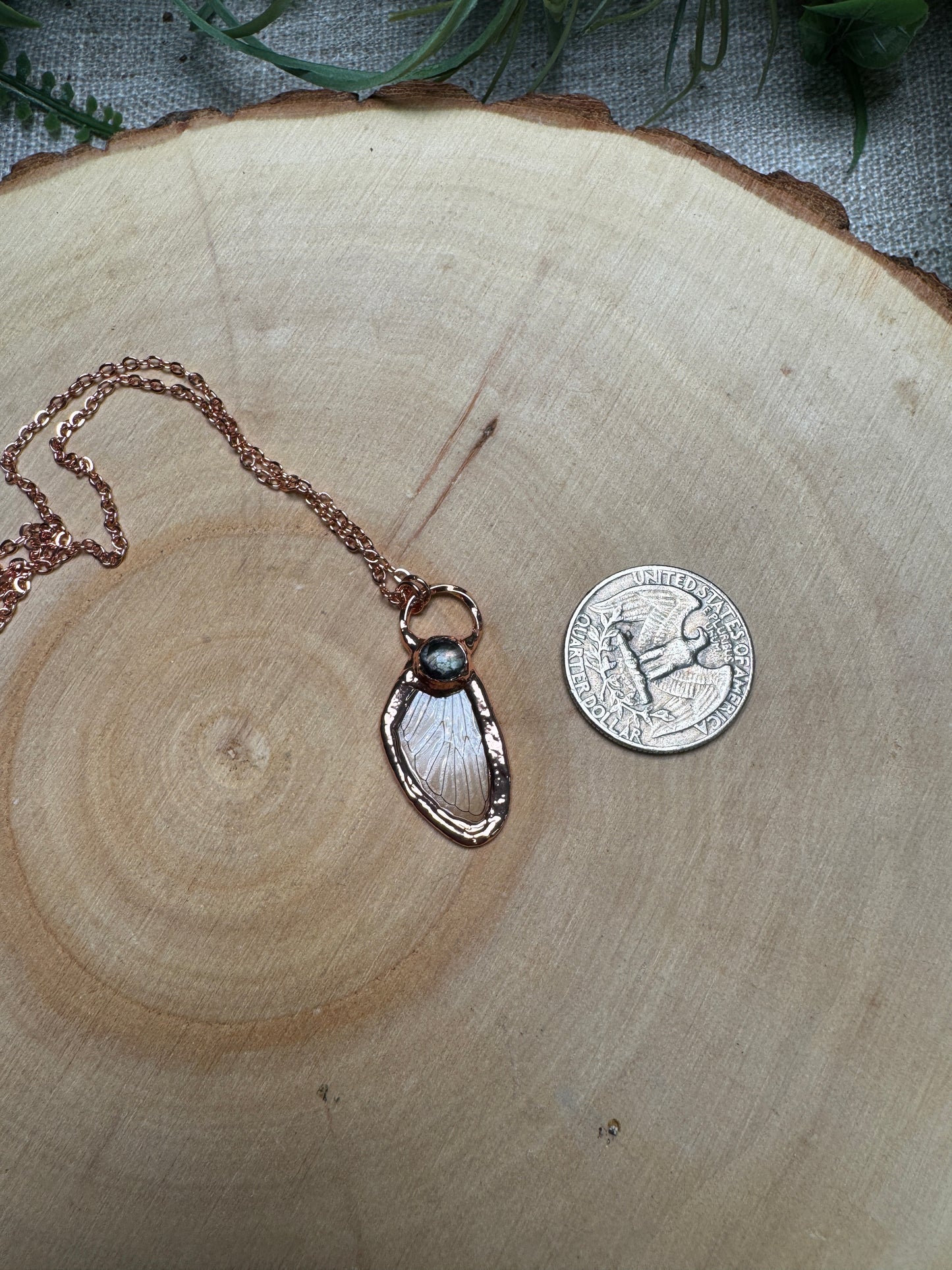 Cicada Wing and Fluorite Necklace