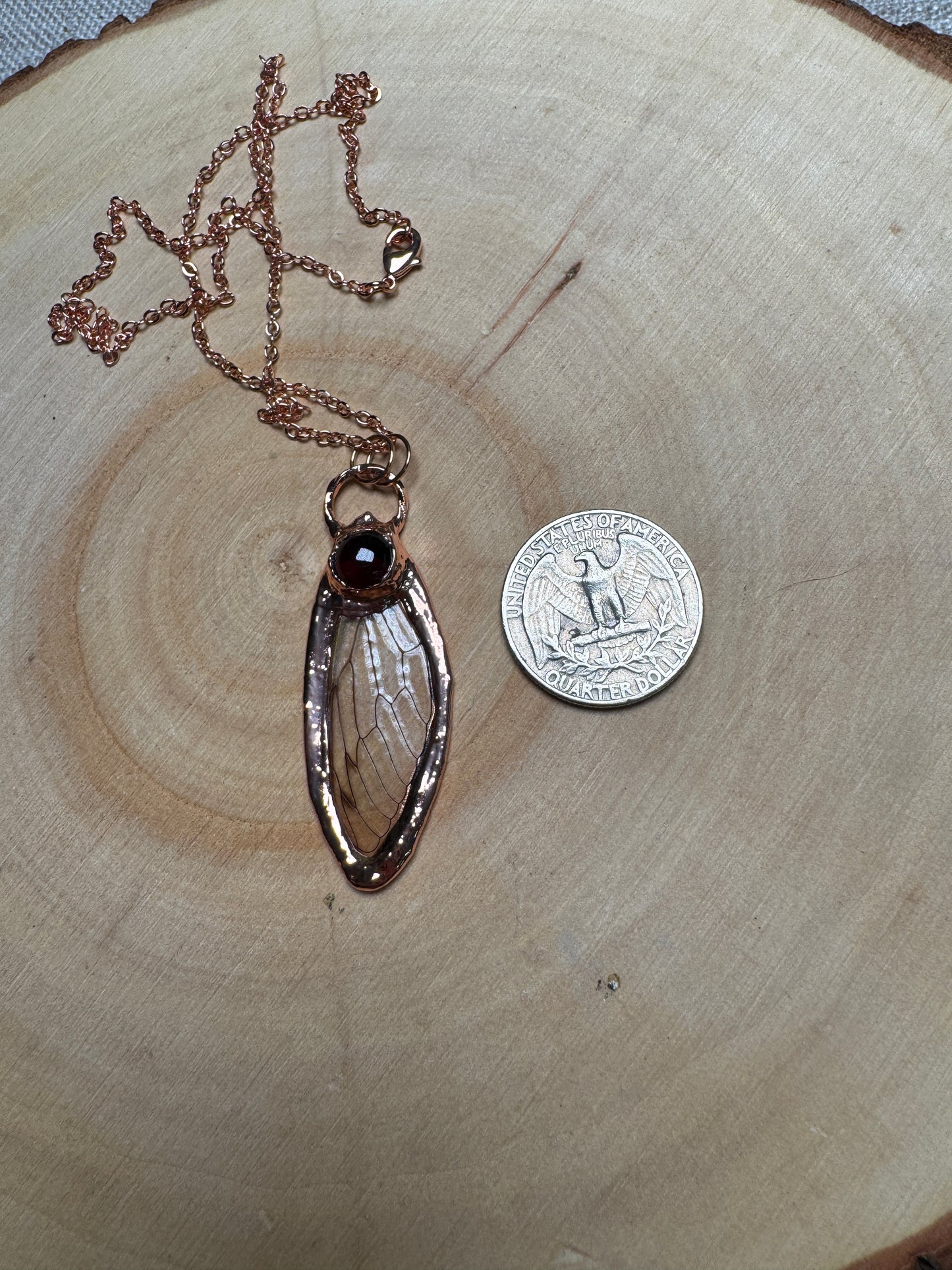 Cicada Wing and Garnet Necklace