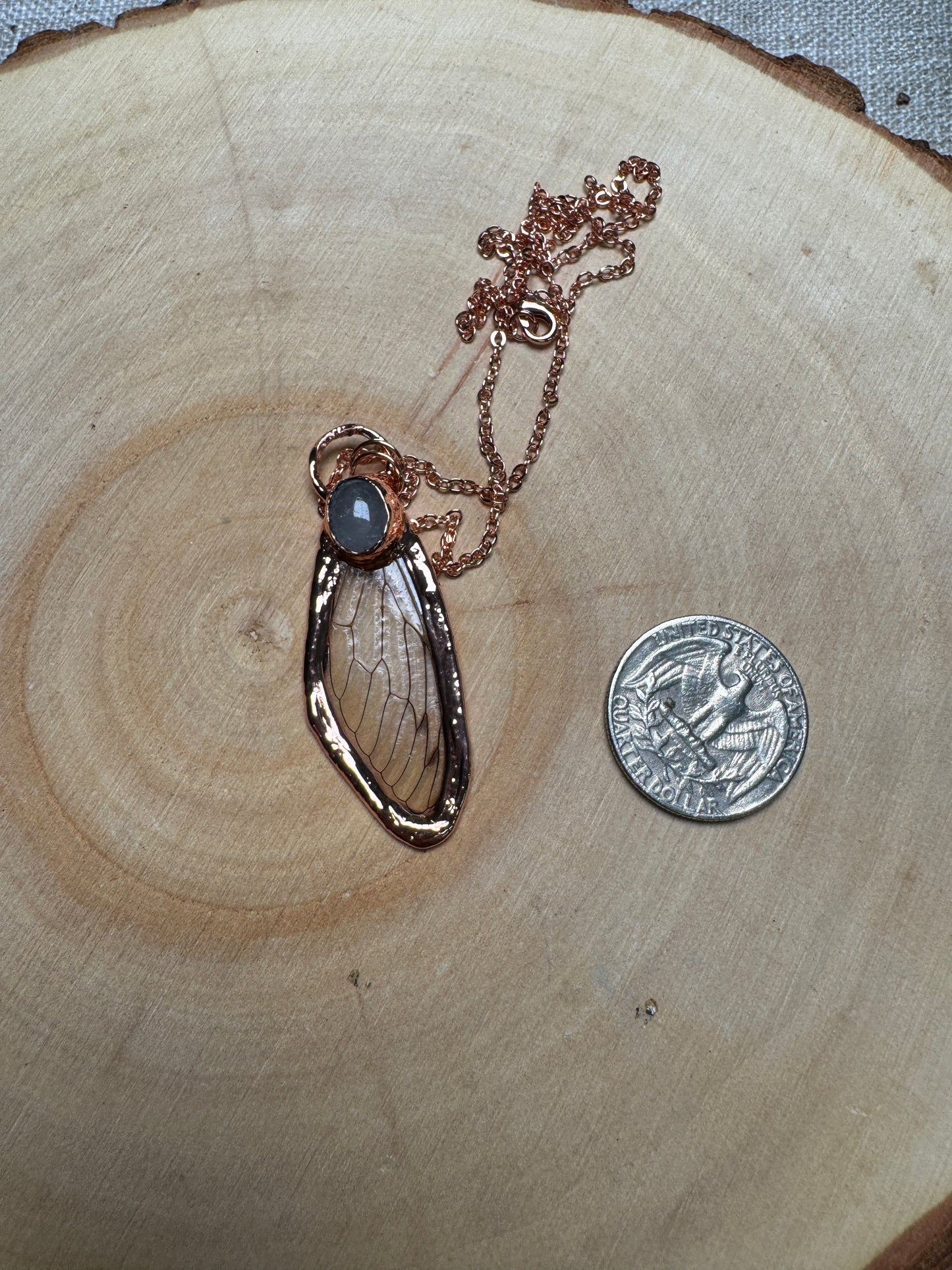 Cicada Wing and Rose Quartz Necklace