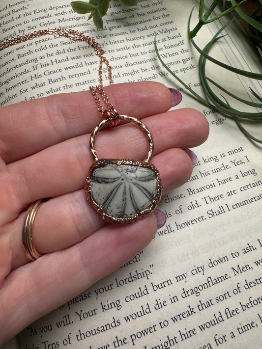 Fossilized Sea Biscuit Necklace