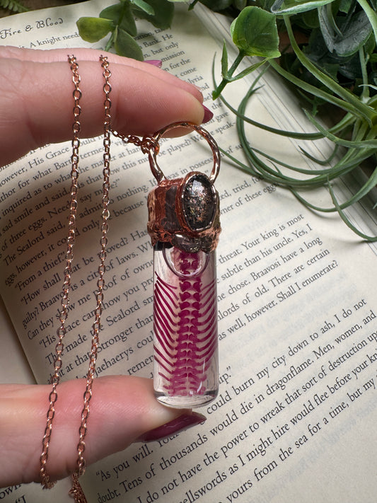 Diaphonized Rat Ribs Wet Specimen with Sunstone Necklace