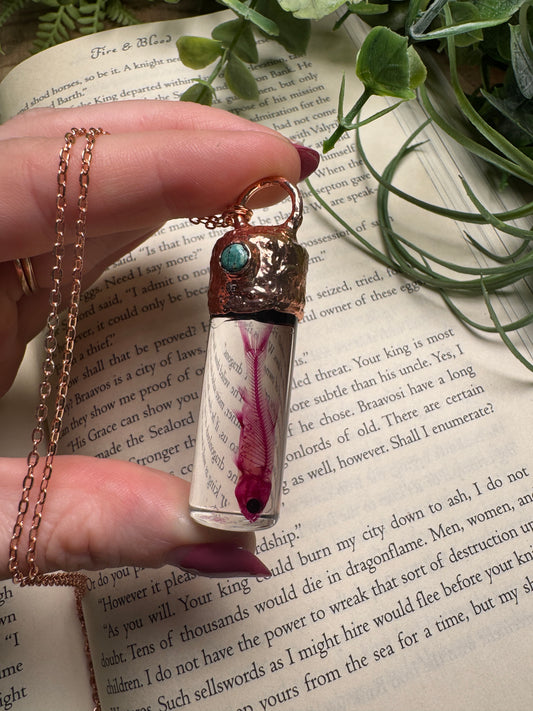Diaphonized Minnow Wet Specimen with Turquoise Necklace