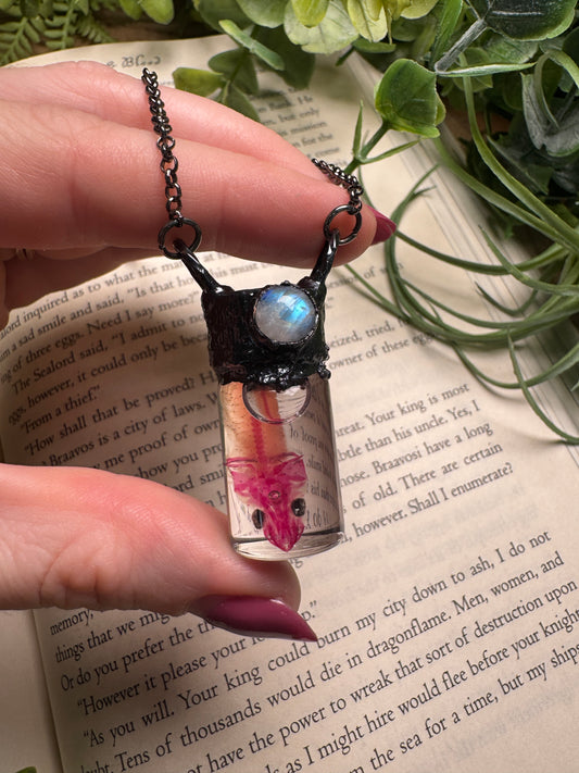 Diaphonized Eel Head Wet Specimen with Moonstone Necklace