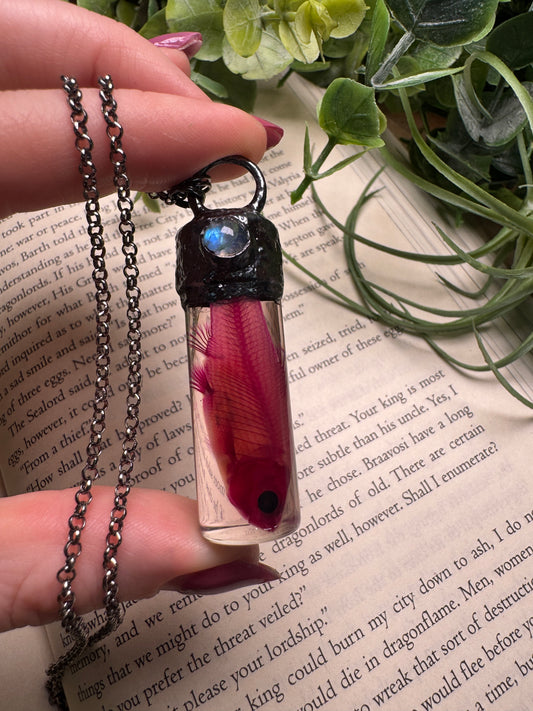Diaphonized Minnow Wet Specimen with Moonstone Necklace