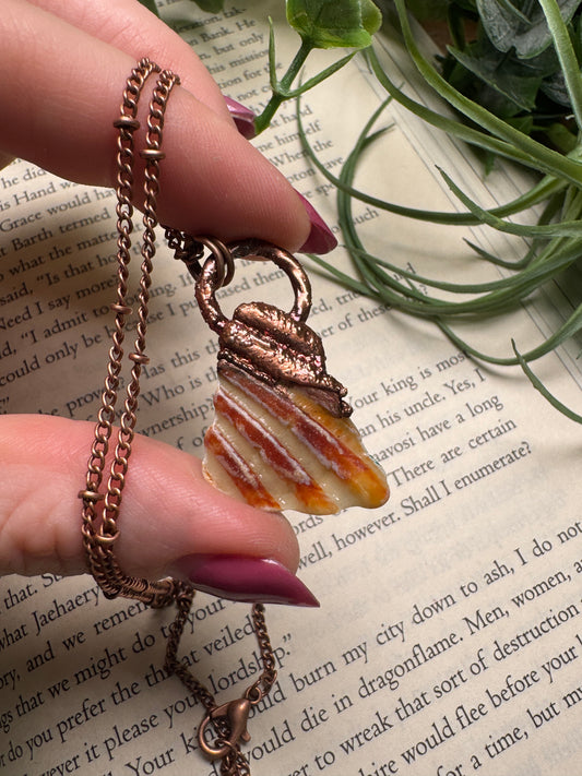 Shell Necklace