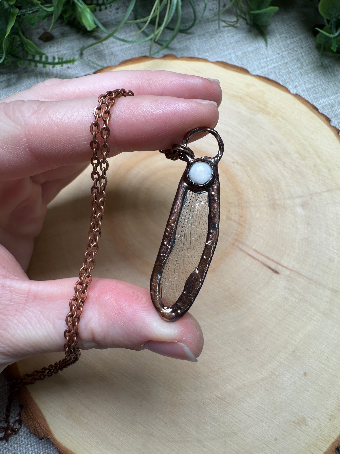 Dragonfly Wing and Shell Necklace