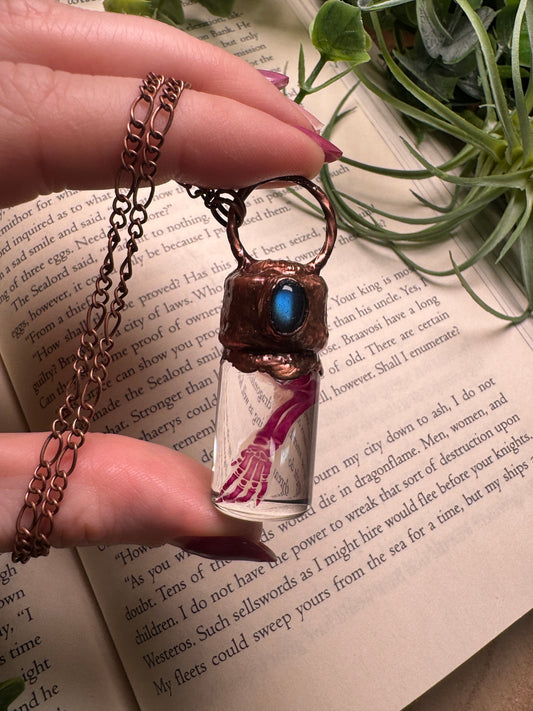 Diaphonized Rat Paw Wet Specimen with Labradorite Necklace