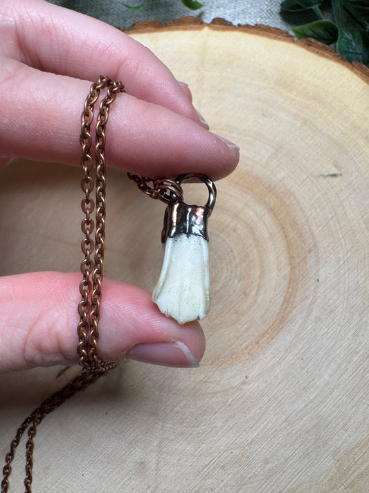 Wistera- Deer Tooth Necklace
