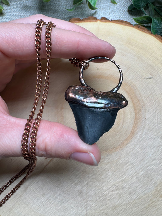 Caligara- Fossilized Broken Shark's Tooth Necklace