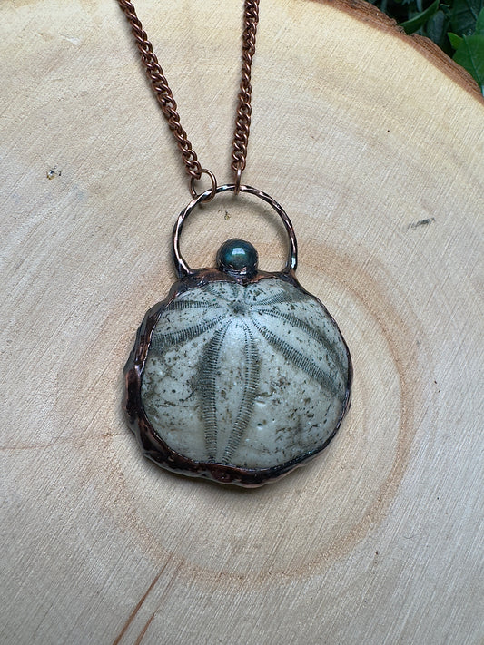 Orphina- Fossilized Sea Biscuit and Labradorite Necklace