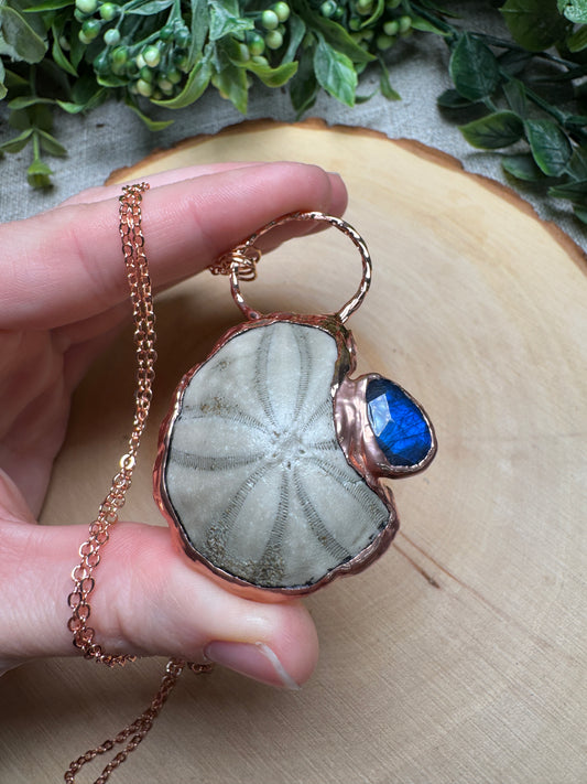 Velkan- Fossilized Sea Biscuit and Labradorite Necklace