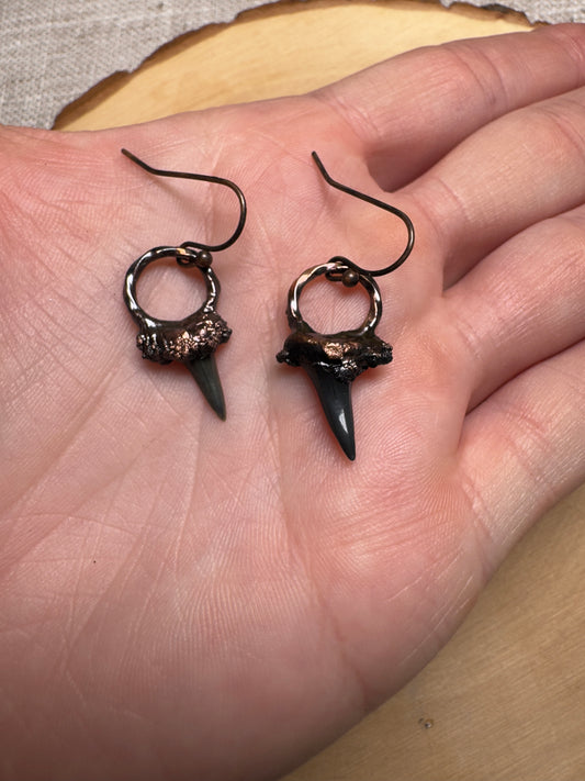 Malphas- Shark Tooth Earrings