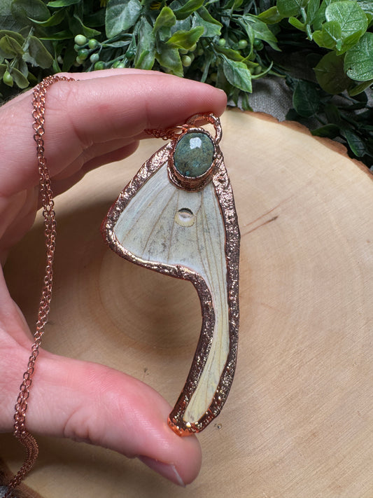 Luna Moth Wing and Turquoise Necklace
