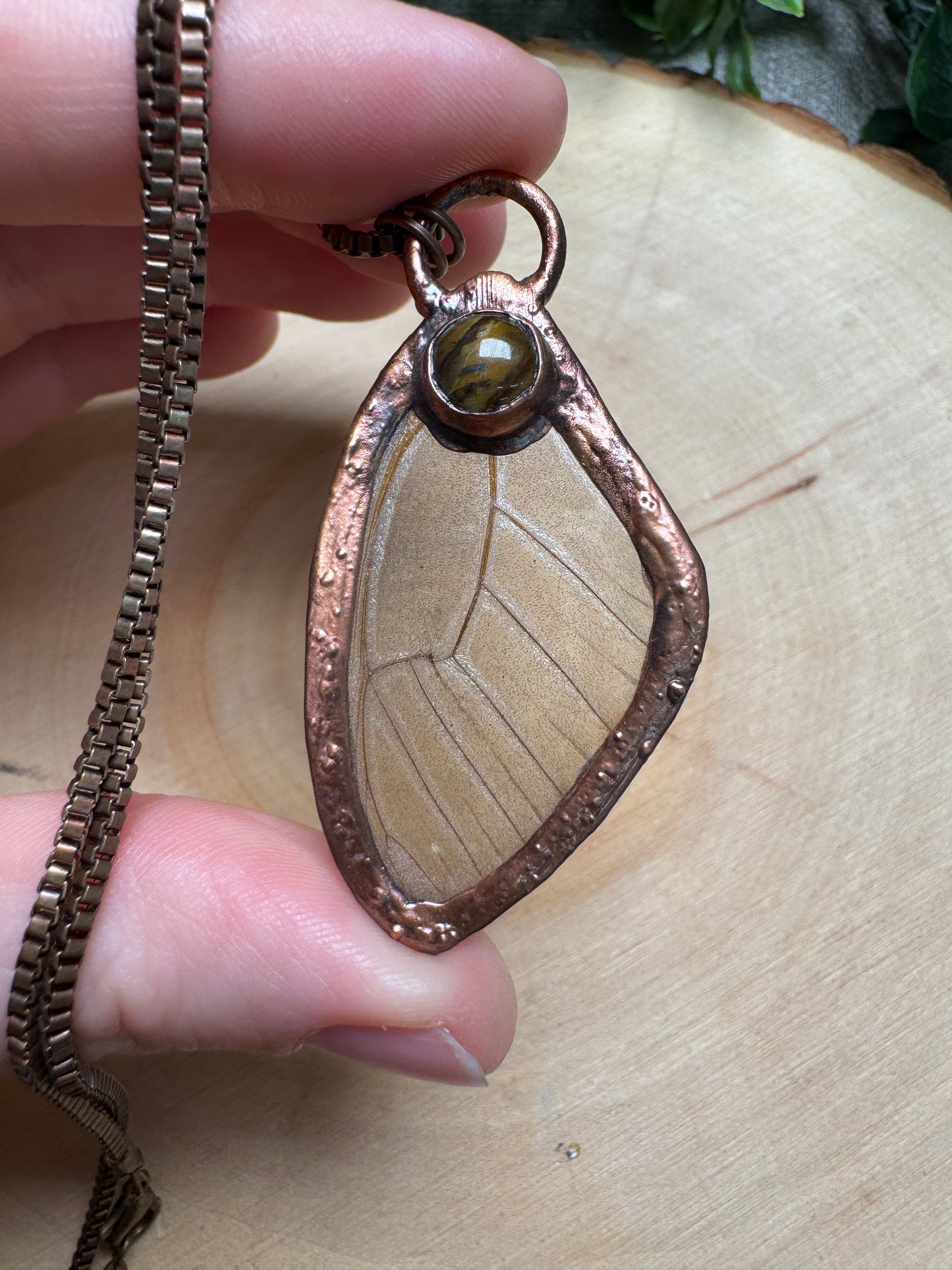 Butterfly Wing and Tigers Eye Necklace