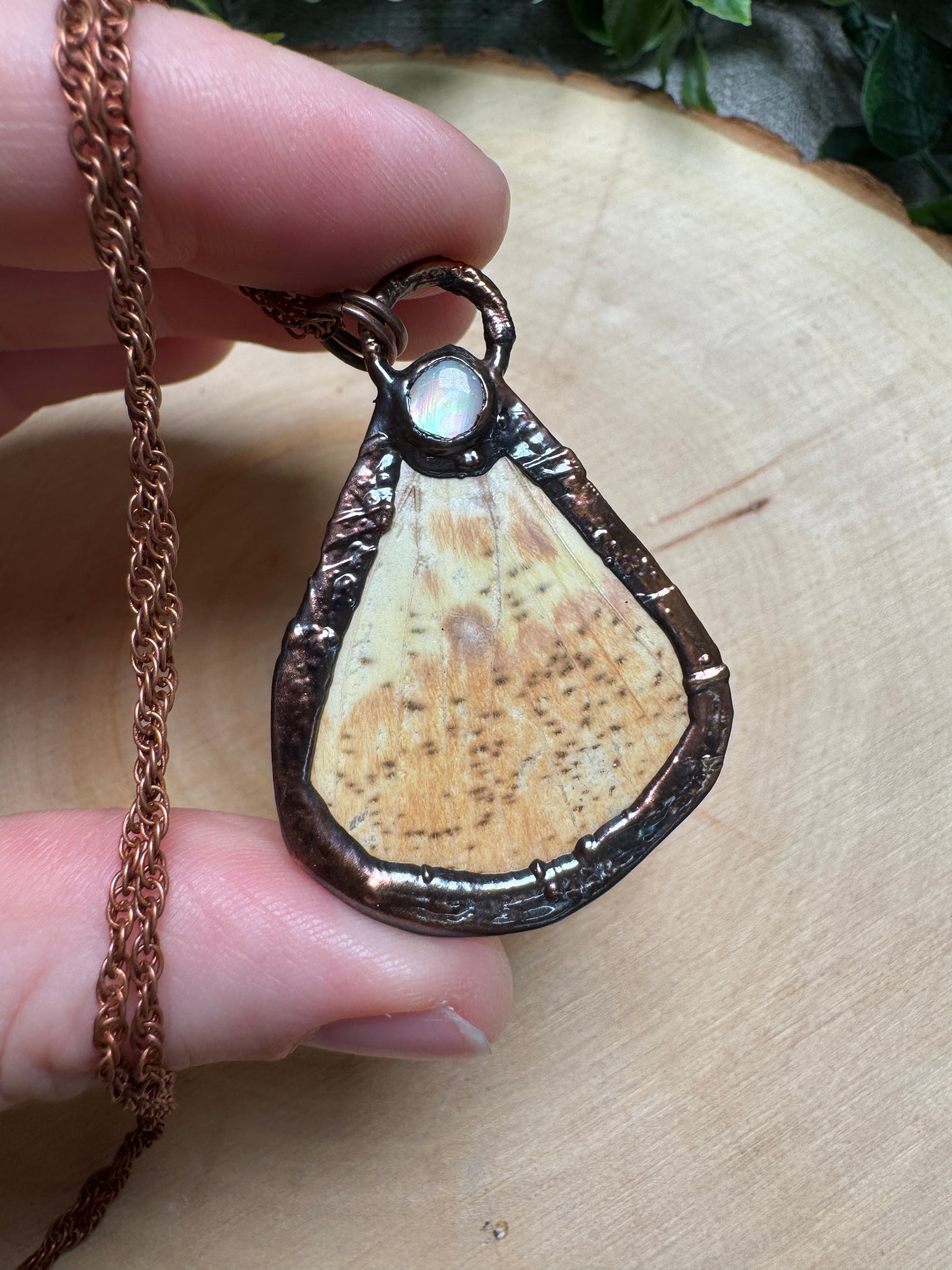 Butterfly Wing and Mother of Pearl Shell Necklace