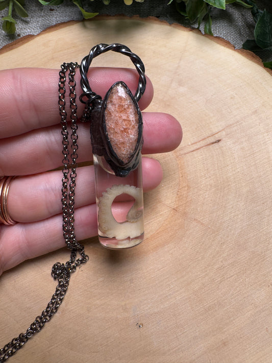 Octopus Tentacle Wet Specimen and Sunstone Necklace