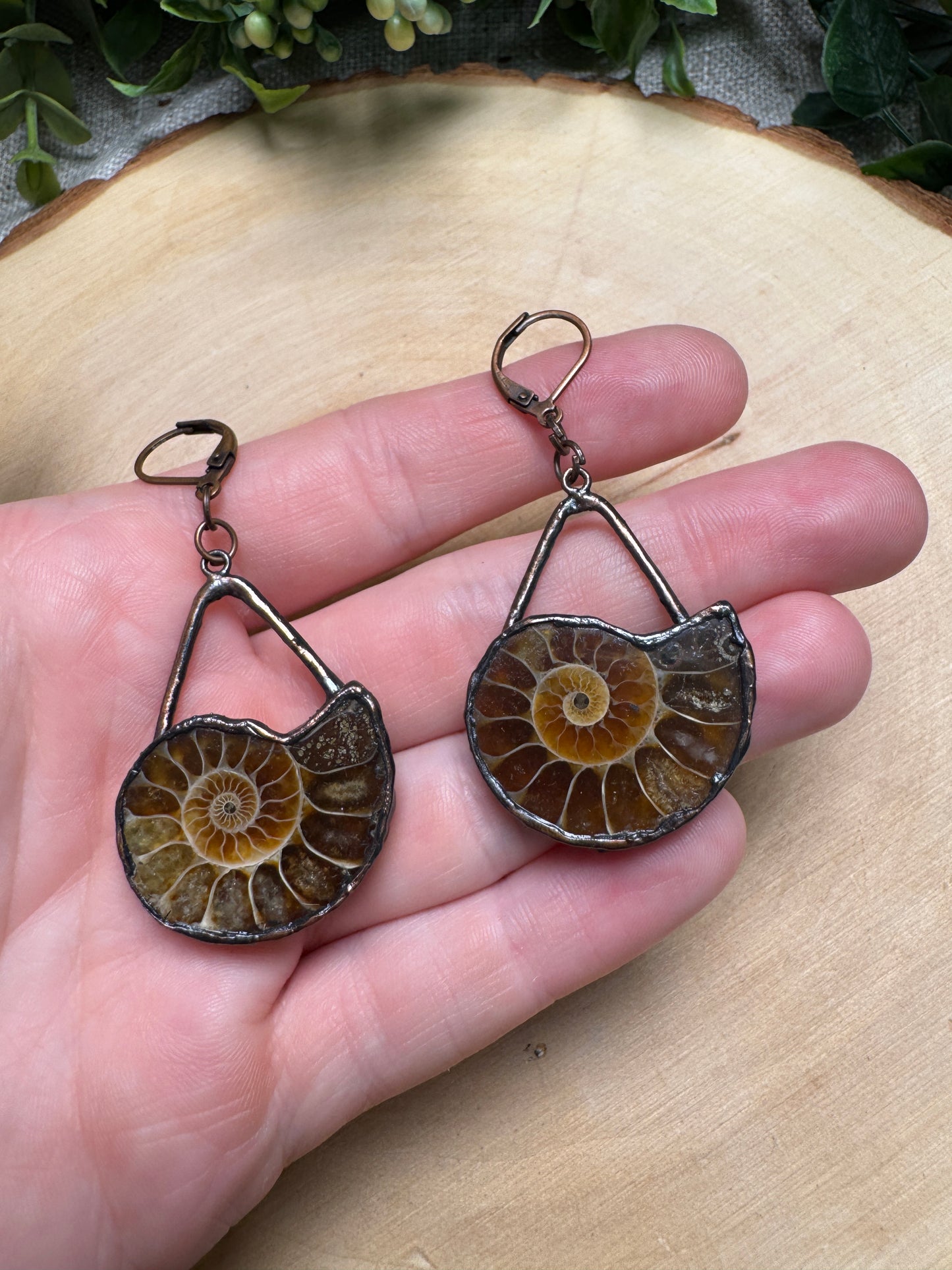 Ammonite Fossil Earrings