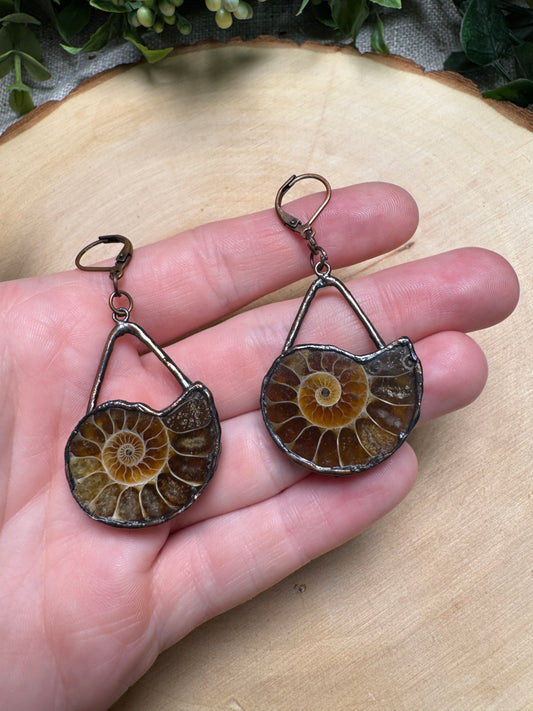 Ammonite Fossil Earrings