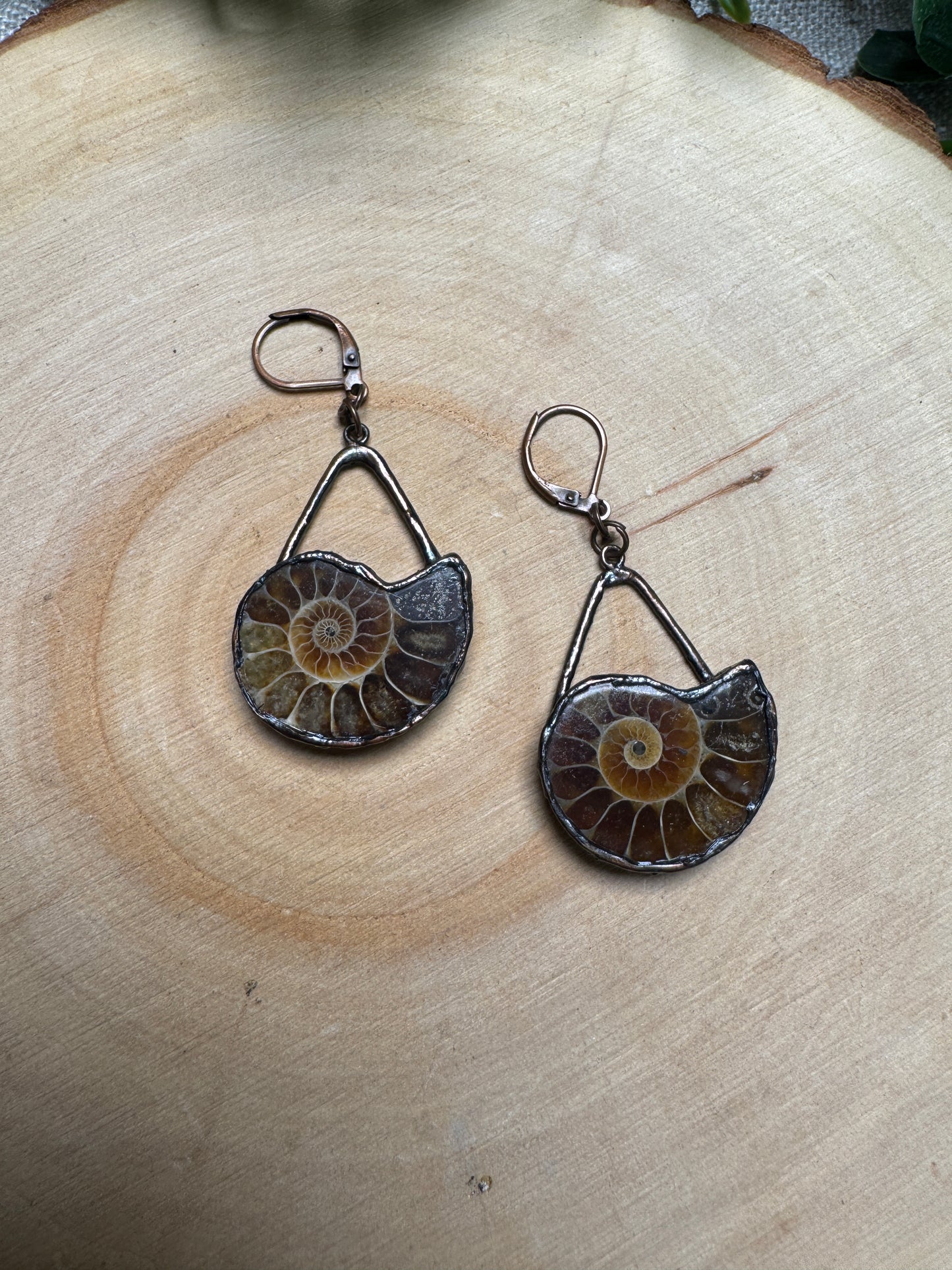 Ammonite Fossil Earrings