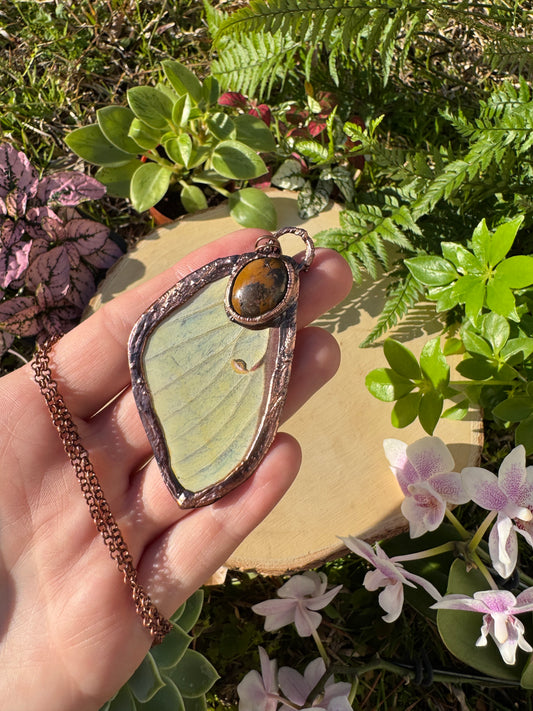 Natural Turquoise and Luna Moth Wing Necklace