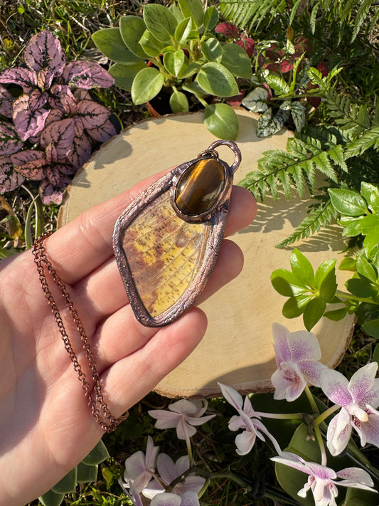 Tigers Eye and Imperial Moth Wing Necklace