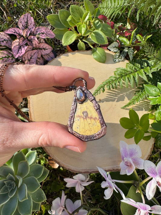Moonstone and Imperial Moth Wing Necklace