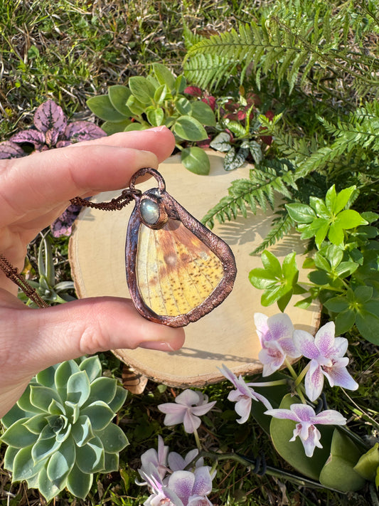 Moonstone and Imperial Moth Wing Necklace