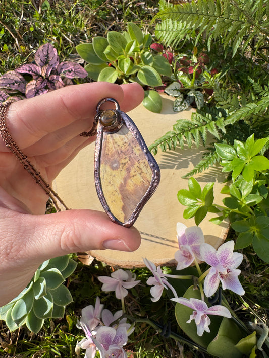 Tigers Eye and Imperial Moth Wing Necklace
