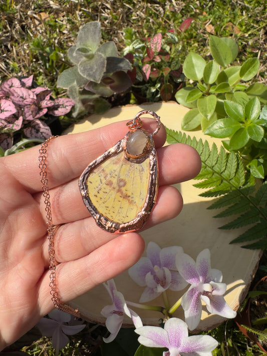 Rose Quartz and Imperial Moth Wing Necklace