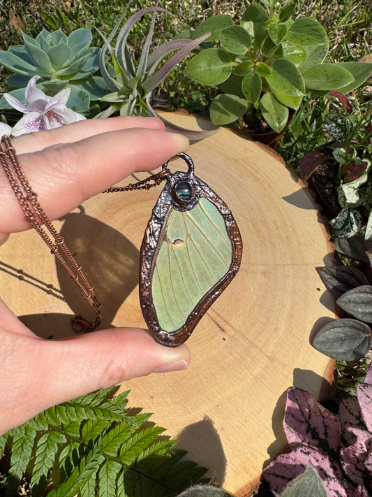 Abalone Shell Luna Moth Wing Necklace