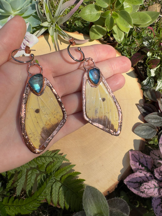 Labradorite and Imperial Moth Wing Earrings