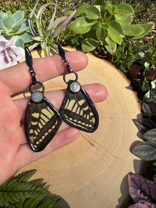 Shell and Butterfly Wing Earrings