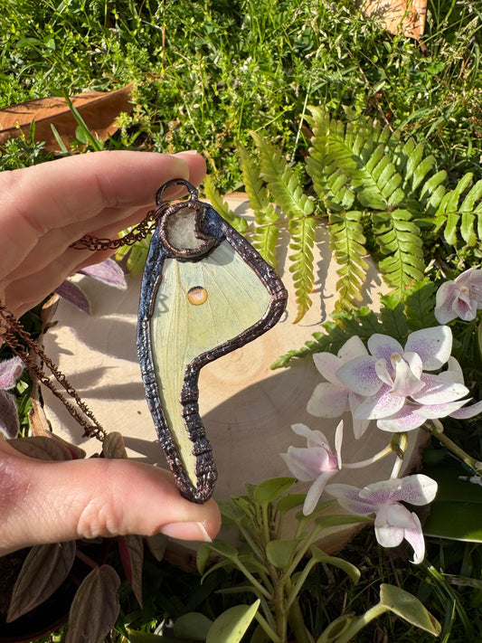 Citrine Luna Moth Wing Necklace
