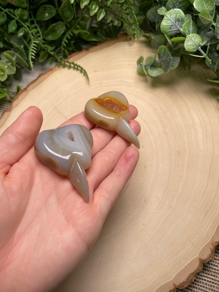 Agate Bird Skull | Copper Ashes