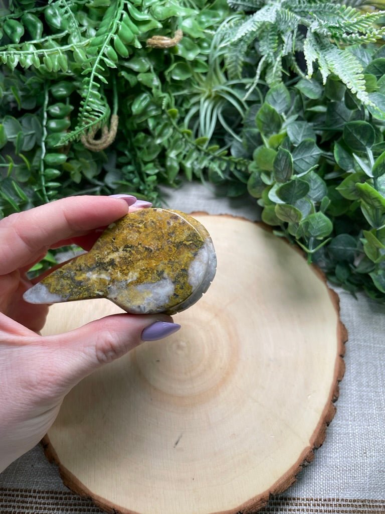 Agate Shark | Copper Ashes