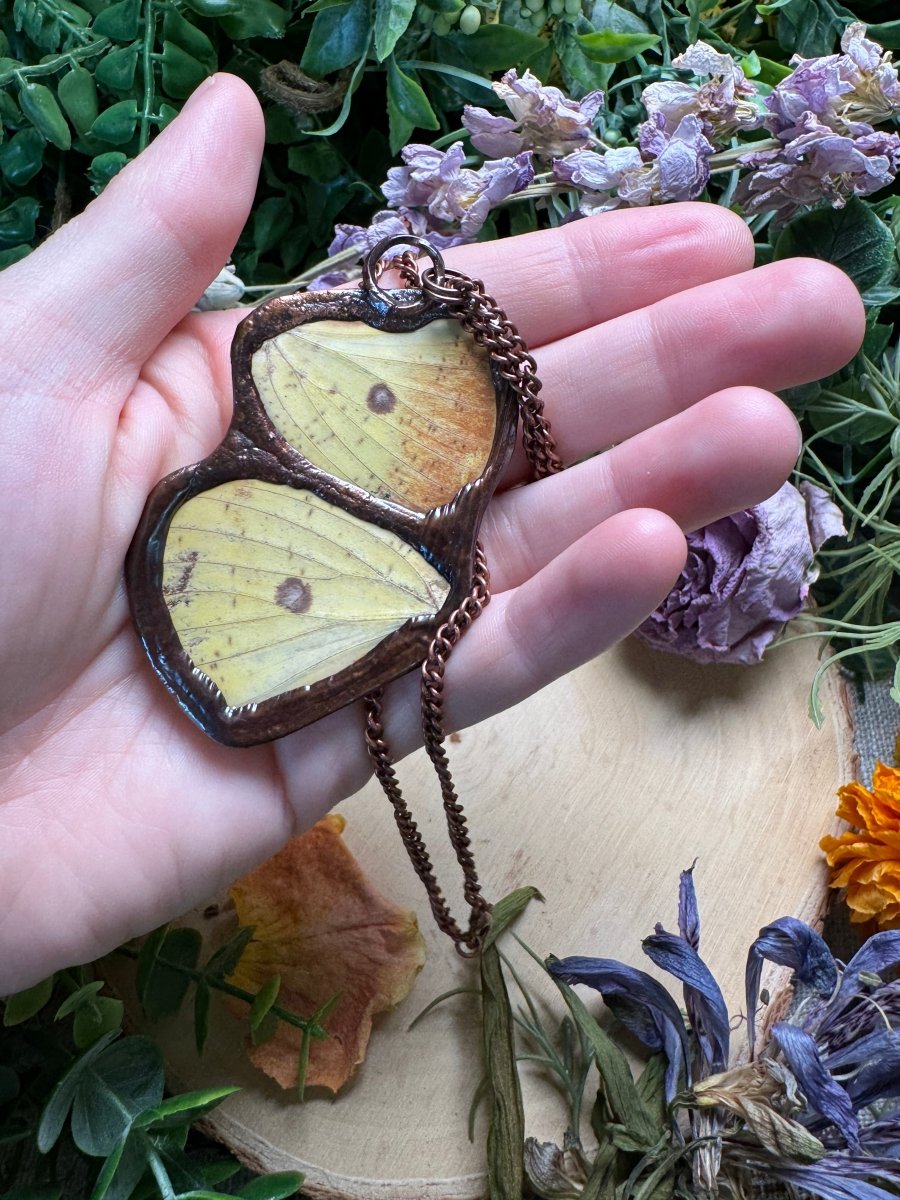 Amethyst and Moth Wing Necklace | Copper Ashes