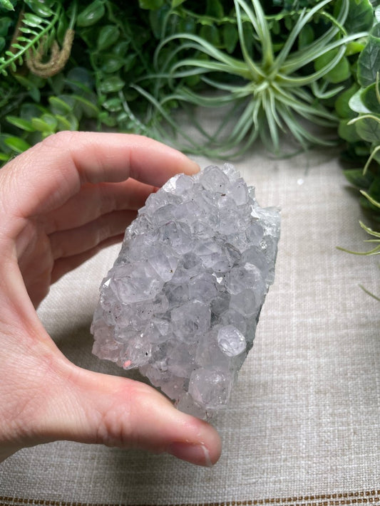 Amethyst Cluster | Copper Ashes