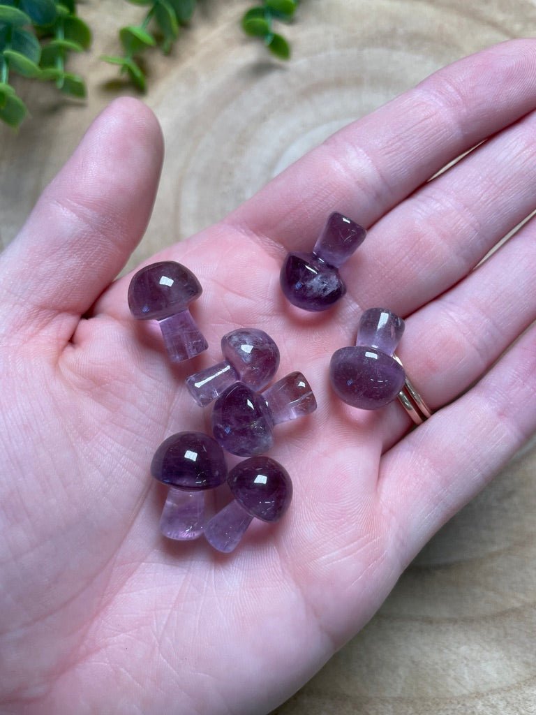 Amethyst Mushroom | Copper Ashes