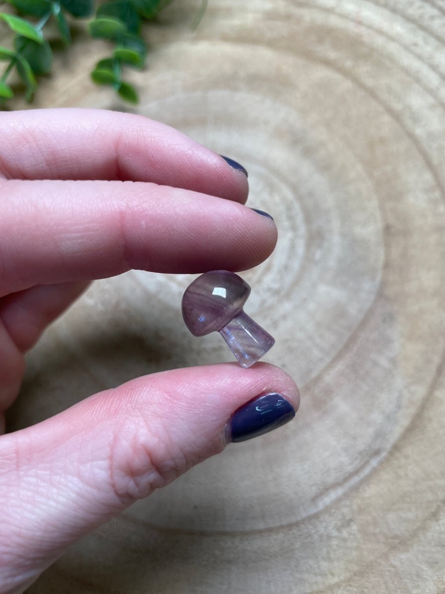 Amethyst Mushroom | Copper Ashes