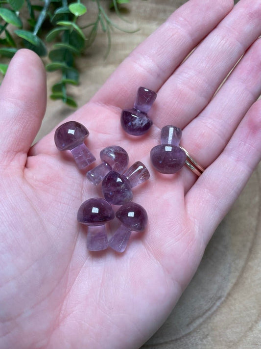 Amethyst Mushroom | Copper Ashes