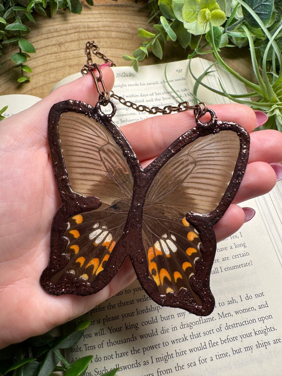 Ammonite Fossil and Butterfly Wing Statement Necklace | Copper Ashes