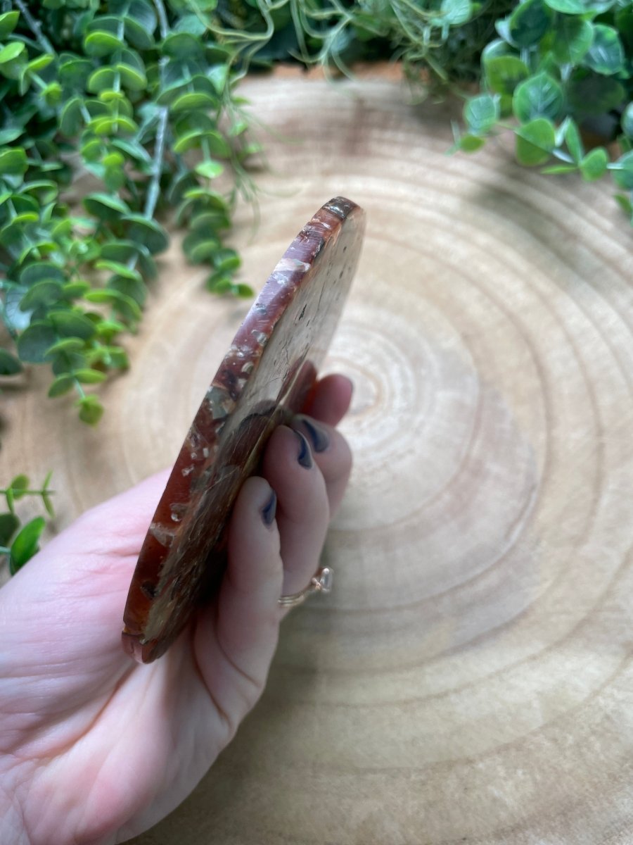 Ammonite Fossil and Resin Plate | Copper Ashes