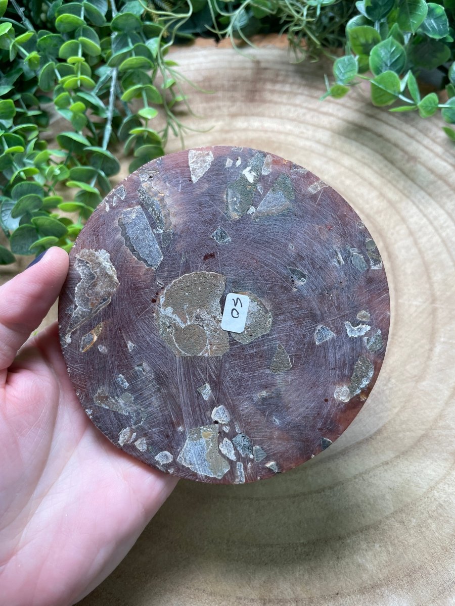 Ammonite Fossil and Resin Plate | Copper Ashes