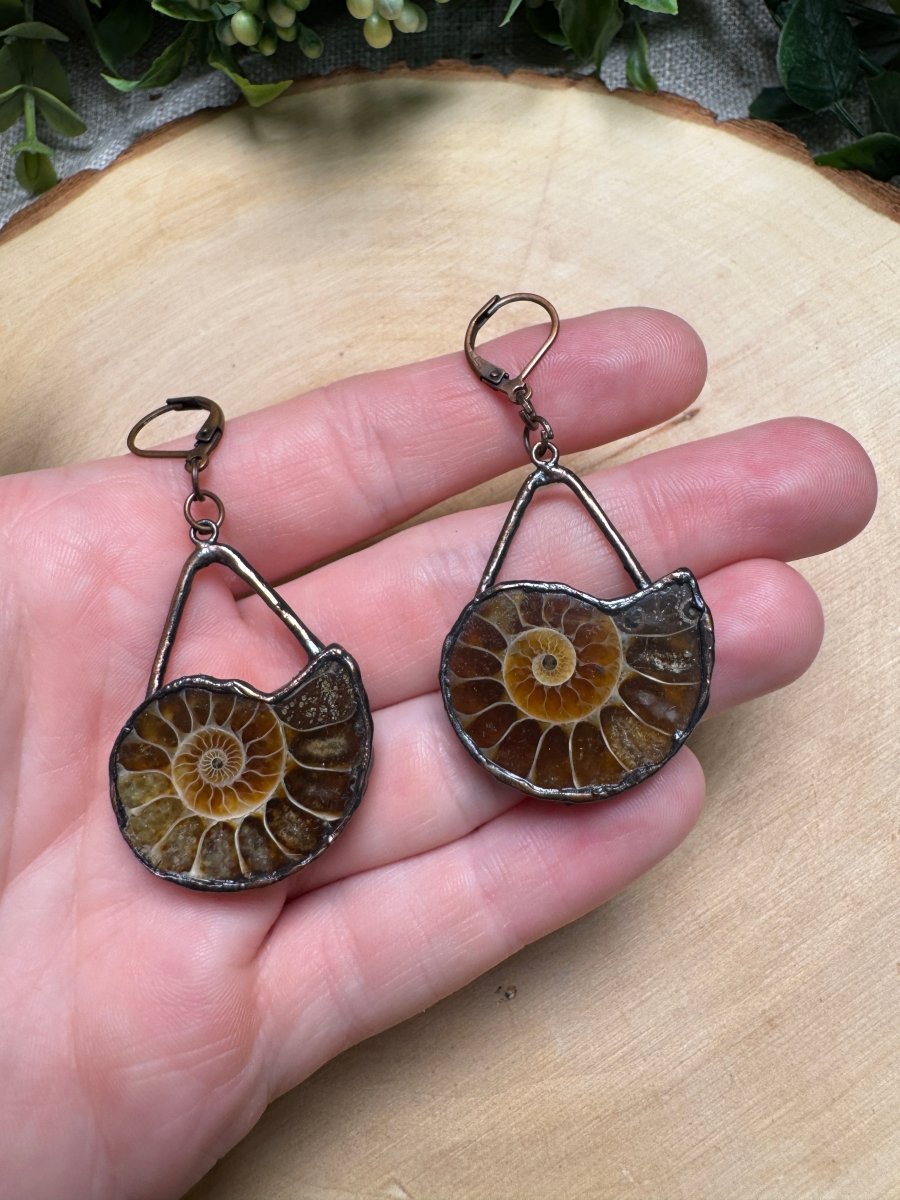 Ammonite Fossil Earrings | Copper Ashes