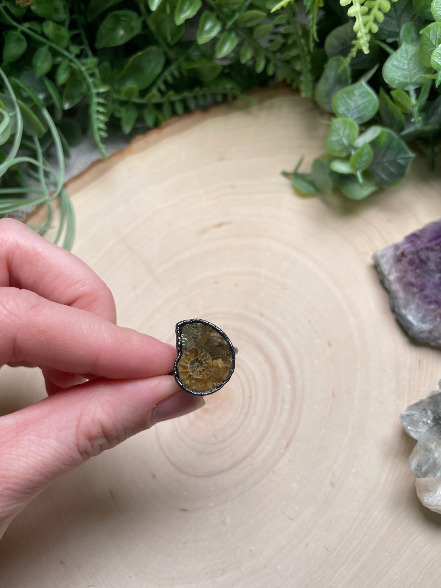 Ammonite Fossil Ring Size 6.75 | Copper Ashes