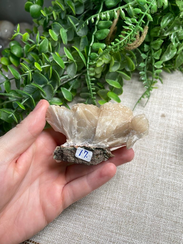 Apophyllite Cluster | Copper Ashes