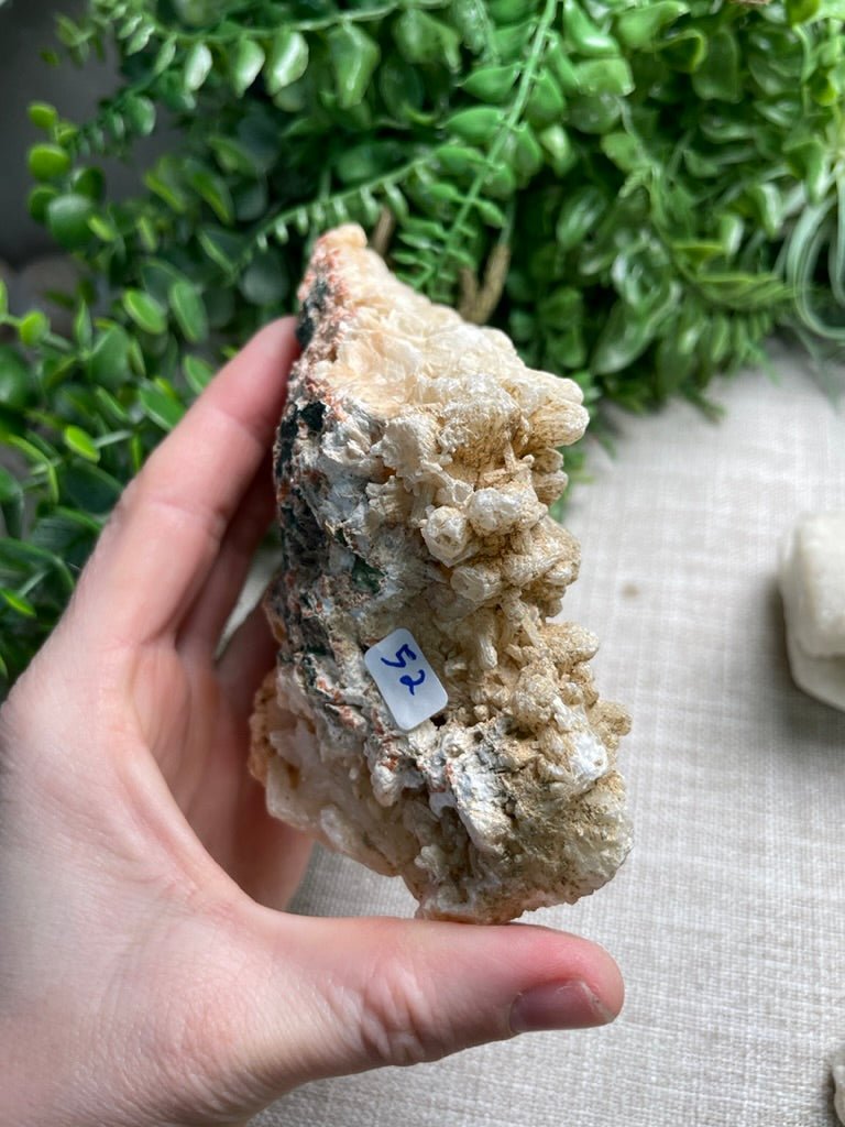 Apophyllite Cluster | Copper Ashes